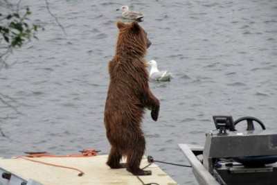 EZ Dock system installed at Grizzly Reservoir